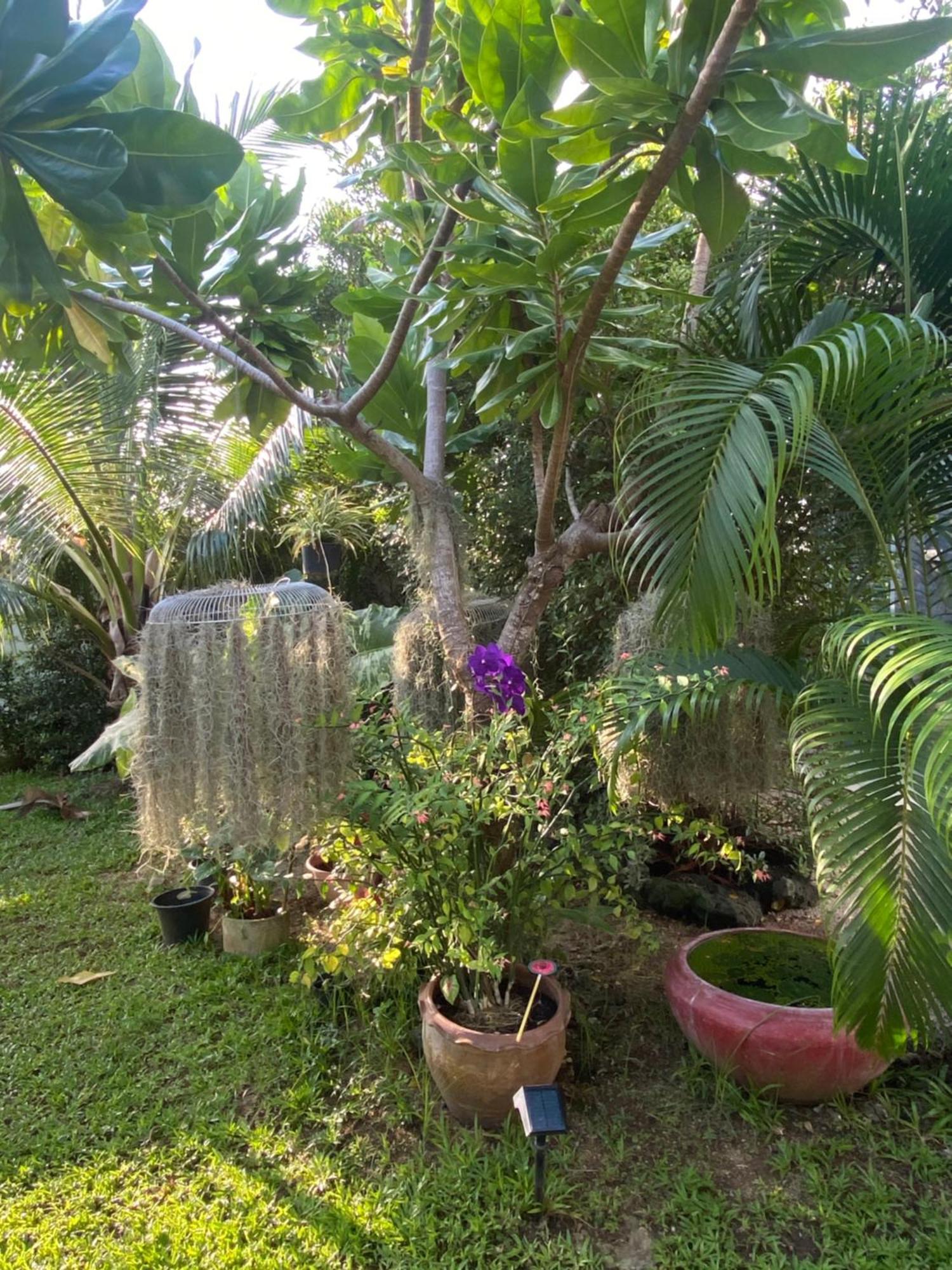 Phangan Hometown Resort - Adults Only Baan Tai Extérieur photo